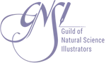 GNSI